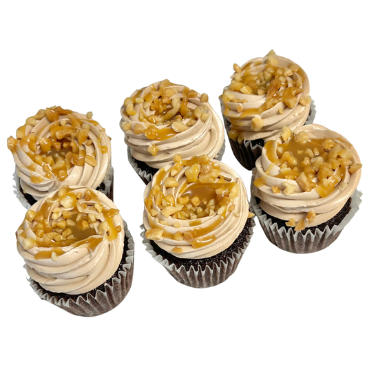 Mini Choc Peanut Caramel Cupcakes